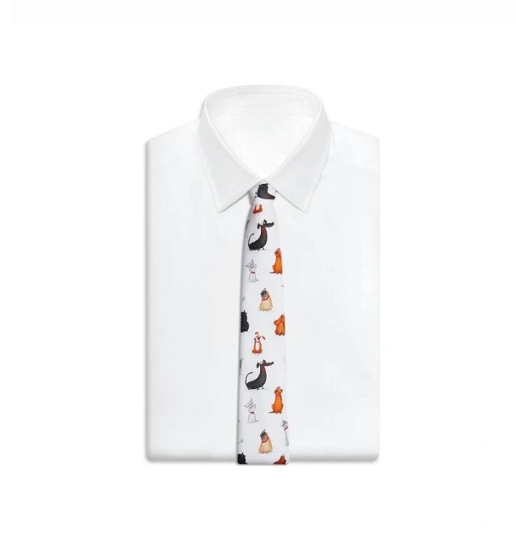 China Printed Silk Tie Bowtie
